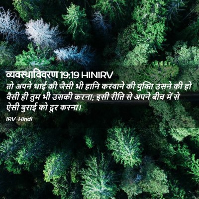 Picture 02 - व्यवस्थाविवरण 19:19 HINIRV - तो अपने भाई की जैसी - Bible Verse Picture