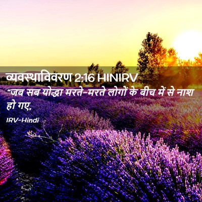 Picture 02 - व्यवस्थाविवरण 2:16 HINIRV - “जब सब योद्धा - Bible Verse Picture