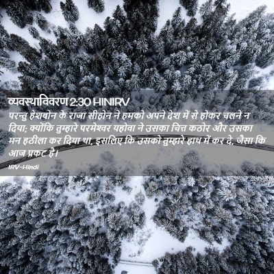 Picture 02 - व्यवस्थाविवरण 2:30 HINIRV - परन्तु हेशबोन के - Bible Verse Picture