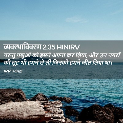 Picture 02 - व्यवस्थाविवरण 2:35 HINIRV - परन्तु पशुओं को - Bible Verse Picture