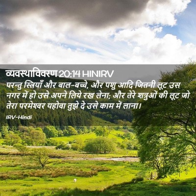 Picture 02 - व्यवस्थाविवरण 20:14 HINIRV - परन्तु स्त्रियाँ - Bible Verse Picture