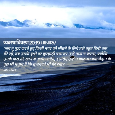 Picture 02 - व्यवस्थाविवरण 20:19 HINIRV - “जब तू युद्ध करते - Bible Verse Picture