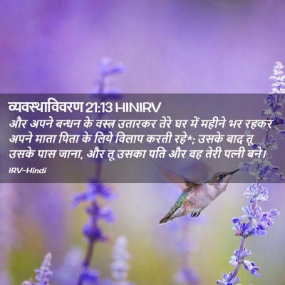 Picture 02 - व्यवस्थाविवरण 21:13 HINIRV - और अपने बन्धन के - Bible Verse Picture