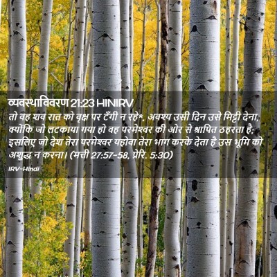 Picture 02 - व्यवस्थाविवरण 21:23 HINIRV - तो वह शव रात को - Bible Verse Picture