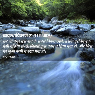 Picture 02 - व्यवस्थाविवरण 21:3 HINIRV - तब जो नगर उस शव के - Bible Verse Picture