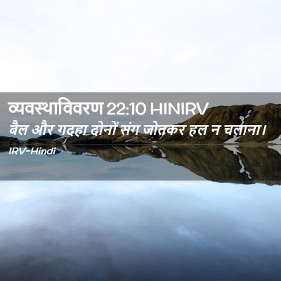 Picture 02 - व्यवस्थाविवरण 22:10 HINIRV - बैल और गदहा दोनों - Bible Verse Picture
