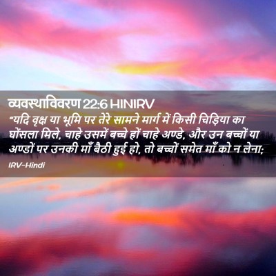 Picture 02 - व्यवस्थाविवरण 22:6 HINIRV - “यदि वृक्ष या भूमि - Bible Verse Picture
