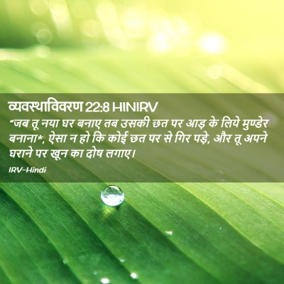 Picture 02 - व्यवस्थाविवरण 22:8 HINIRV - “जब तू नया घर बनाए - Bible Verse Picture
