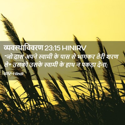 Picture 02 - व्यवस्थाविवरण 23:15 HINIRV - “जो दास अपने - Bible Verse Picture