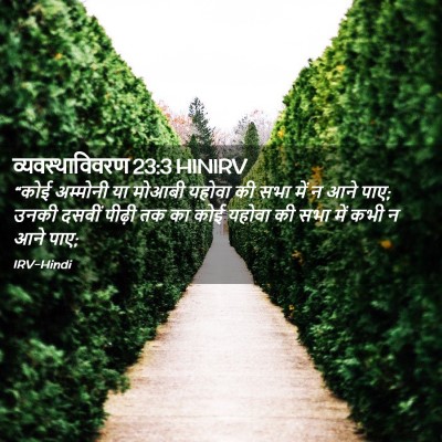 Picture 02 - व्यवस्थाविवरण 23:3 HINIRV - “कोई अम्मोनी या - Bible Verse Picture
