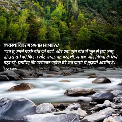 Picture 02 - व्यवस्थाविवरण 24:19 HINIRV - “जब तू अपने पक्के - Bible Verse Picture