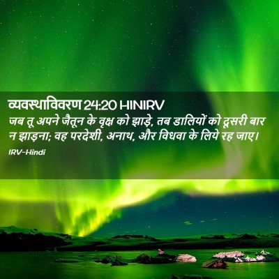 Picture 02 - व्यवस्थाविवरण 24:20 HINIRV - जब तू अपने जैतून के - Bible Verse Picture