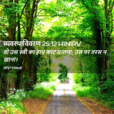 Picture 02 - व्यवस्थाविवरण 25:12 HINIRV - तो उस स्त्री का हाथ - Bible Verse Picture