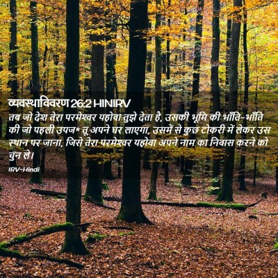 Picture 02 - व्यवस्थाविवरण 26:2 HINIRV - तब जो देश तेरा - Bible Verse Picture