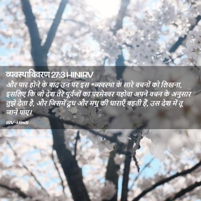 Picture 02 - व्यवस्थाविवरण 27:3 HINIRV - और पार होने के बाद - Bible Verse Picture