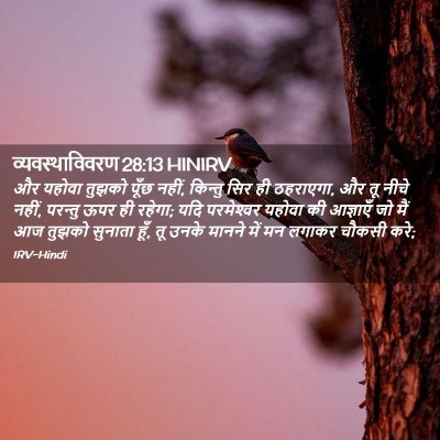 Picture 02 - व्यवस्थाविवरण 28:13 HINIRV - और यहोवा तुझको - Bible Verse Picture