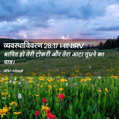 Picture 02 - व्यवस्थाविवरण 28:17 HINIRV - श्रापित हो तेरी - Bible Verse Picture