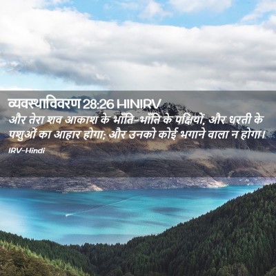 Picture 02 - व्यवस्थाविवरण 28:26 HINIRV - और तेरा शव आकाश के - Bible Verse Picture