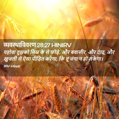 Picture 02 - व्यवस्थाविवरण 28:27 HINIRV - यहोवा तुझको मिस्र - Bible Verse Picture