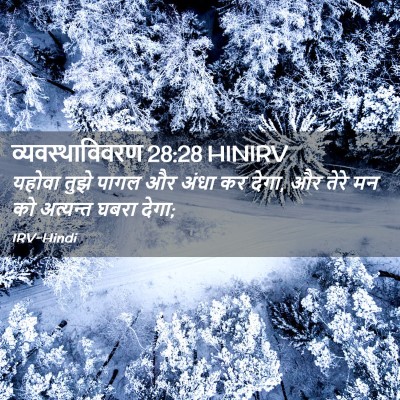 Picture 02 - व्यवस्थाविवरण 28:28 HINIRV - यहोवा तुझे पागल और - Bible Verse Picture