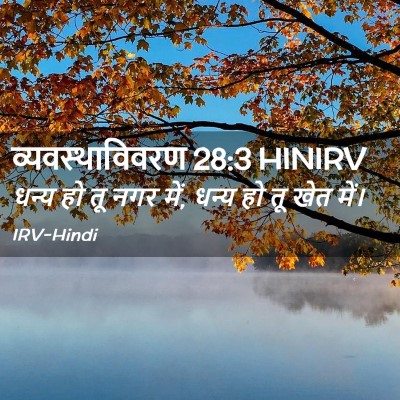 Picture 02 - व्यवस्थाविवरण 28:3 HINIRV - धन्य हो तू नगर में, - Bible Verse Picture