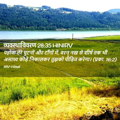 Picture 02 - व्यवस्थाविवरण 28:35 HINIRV - यहोवा तेरे घुटनों - Bible Verse Picture