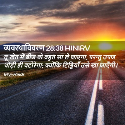 Picture 02 - व्यवस्थाविवरण 28:38 HINIRV - तू खेत में बीज तो - Bible Verse Picture
