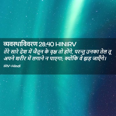 Picture 02 - व्यवस्थाविवरण 28:40 HINIRV - तेरे सारे देश में - Bible Verse Picture