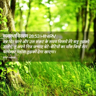 Picture 02 - व्यवस्थाविवरण 28:53 HINIRV - तब घिर जाने और उस - Bible Verse Picture