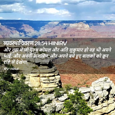 Picture 02 - व्यवस्थाविवरण 28:54 HINIRV - और तुझ में जो पुरुष - Bible Verse Picture