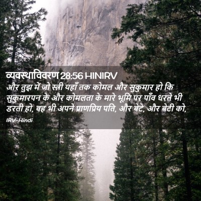 Picture 02 - व्यवस्थाविवरण 28:56 HINIRV - और तुझ में जो - Bible Verse Picture