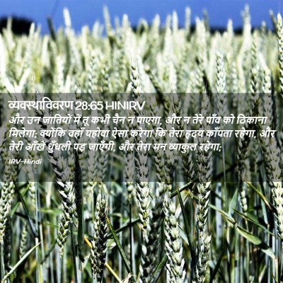 Picture 02 - व्यवस्थाविवरण 28:65 HINIRV - और उन जातियों में - Bible Verse Picture