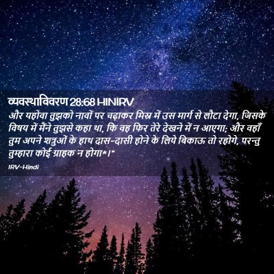 Picture 02 - व्यवस्थाविवरण 28:68 HINIRV - और यहोवा तुझको - Bible Verse Picture