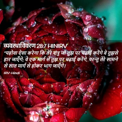 Picture 02 - व्यवस्थाविवरण 28:7 HINIRV - “यहोवा ऐसा करेगा - Bible Verse Picture