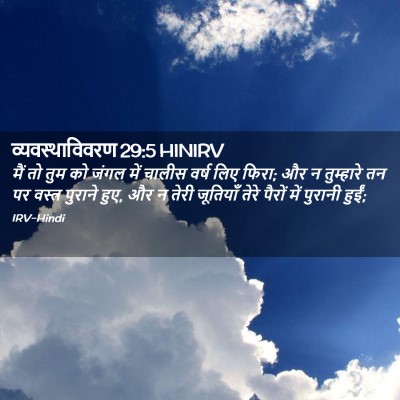 Picture 02 - व्यवस्थाविवरण 29:5 HINIRV - मैं तो तुम को जंगल - Bible Verse Picture