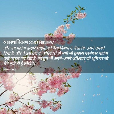 Picture 02 - व्यवस्थाविवरण 3:20 HINIRV - और जब यहोवा - Bible Verse Picture