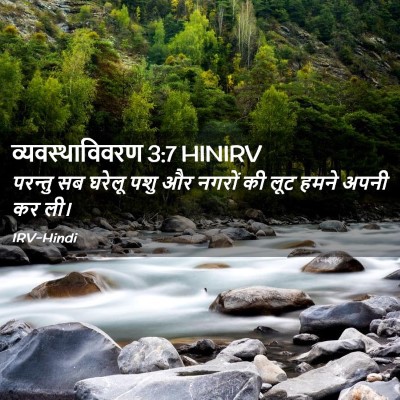 Picture 02 - व्यवस्थाविवरण 3:7 HINIRV - परन्तु सब घरेलू - Bible Verse Picture