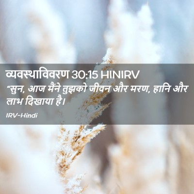 Picture 02 - व्यवस्थाविवरण 30:15 HINIRV - “सुन, आज मैंने - Bible Verse Picture