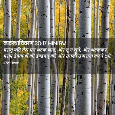 Picture 02 - व्यवस्थाविवरण 30:17 HINIRV - परन्तु यदि तेरा मन - Bible Verse Picture