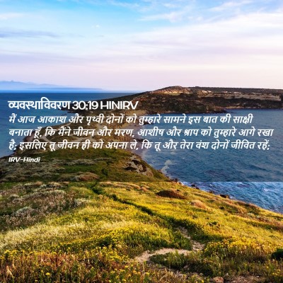 Picture 02 - व्यवस्थाविवरण 30:19 HINIRV - मैं आज आकाश और - Bible Verse Picture