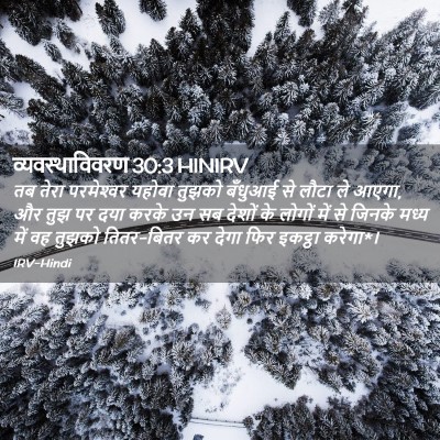 Picture 02 - व्यवस्थाविवरण 30:3 HINIRV - तब तेरा परमेश्‍वर - Bible Verse Picture