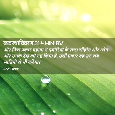 Picture 02 - व्यवस्थाविवरण 31:4 HINIRV - और जिस प्रकार - Bible Verse Picture