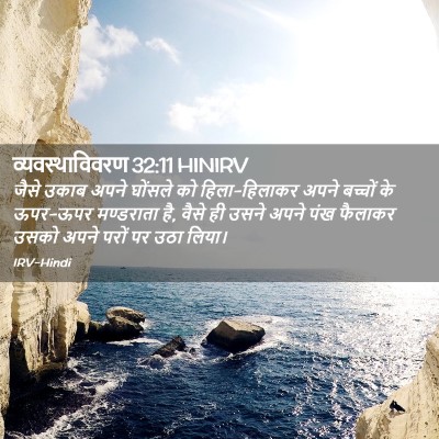 Picture 02 - व्यवस्थाविवरण 32:11 HINIRV - जैसे उकाब अपने - Bible Verse Picture