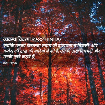 Picture 02 - व्यवस्थाविवरण 32:32 HINIRV - क्योंकि उनकी - Bible Verse Picture
