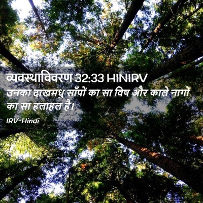 Picture 02 - व्यवस्थाविवरण 32:33 HINIRV - उनका दाखमधु - Bible Verse Picture