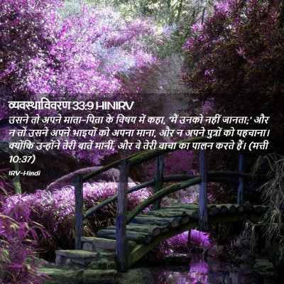Picture 02 - व्यवस्थाविवरण 33:9 HINIRV - उसने तो अपने - Bible Verse Picture