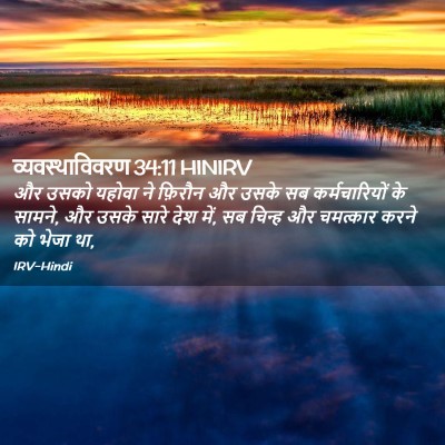 Picture 02 - व्यवस्थाविवरण 34:11 HINIRV - और उसको यहोवा ने - Bible Verse Picture