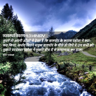 Picture 02 - व्यवस्थाविवरण 4:3 HINIRV - तुमने तो अपनी - Bible Verse Picture