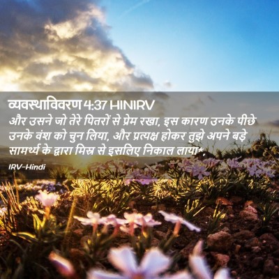 Picture 02 - व्यवस्थाविवरण 4:37 HINIRV - और उसने जो तेरे - Bible Verse Picture