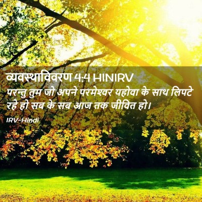 Picture 02 - व्यवस्थाविवरण 4:4 HINIRV - परन्तु तुम जो अपने - Bible Verse Picture